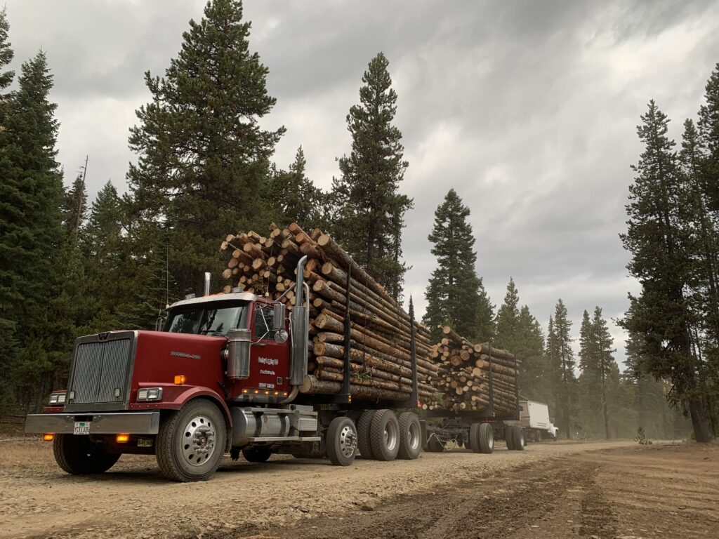 a red semi truck with tandem logging trailers, on a dirt road in a forest
